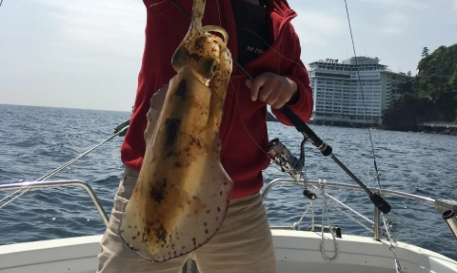 餌釣り